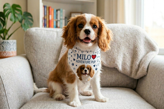 Bandana per Animali Personalizzabile