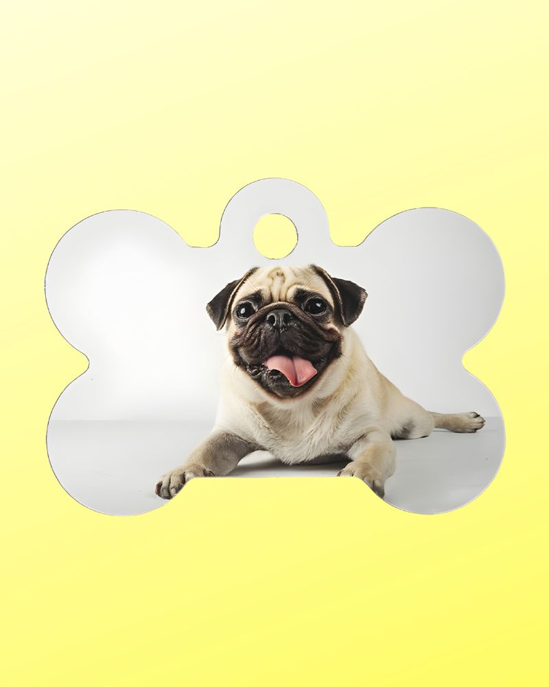 Medaglietta Personalizzata per Cani e Gatti