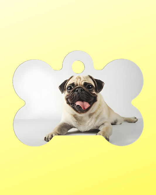 Medaglietta Personalizzata per Cani e Gatti