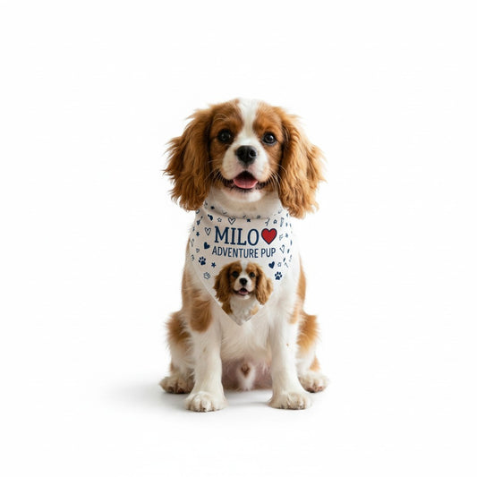 Cavalier King Charles Spaniel indossa una bandana personalizzata FotoGrafica con nome e foto del cane su sfondo bianco