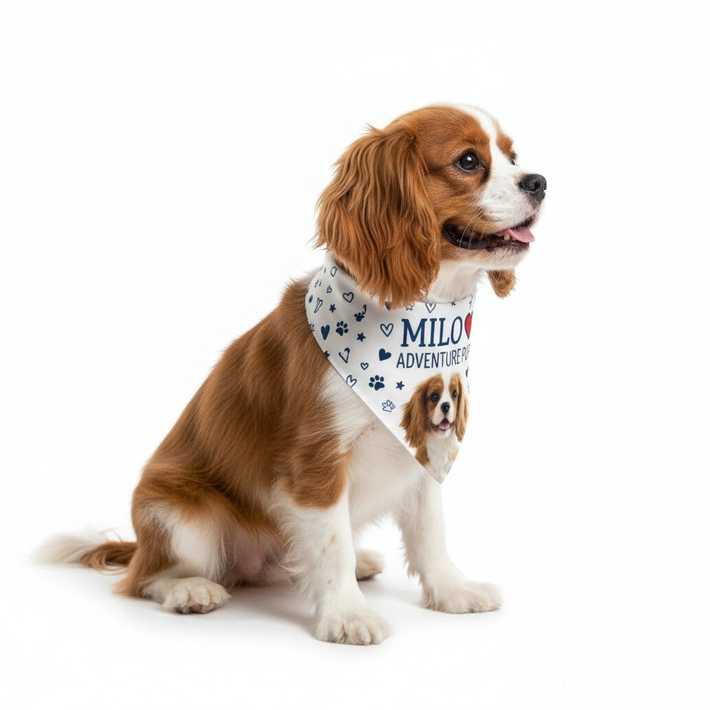 Cane Cavalier King Charles con bandana personalizzata FotoGrafica bianca con stampa fotografica e nome del cane